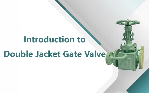 Introduction to Double Jacket Gate Valve