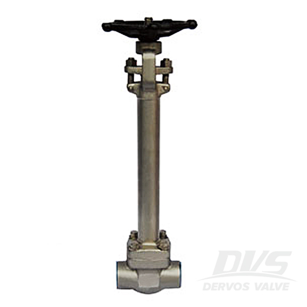 Extended Stem Cryogenic Gate Valve