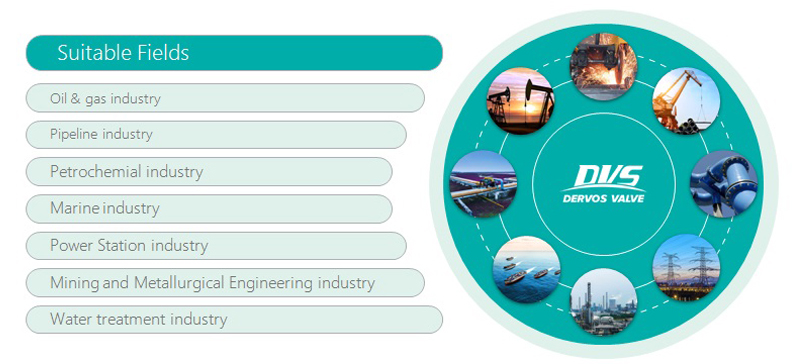 Dervos Industrial Valve Application