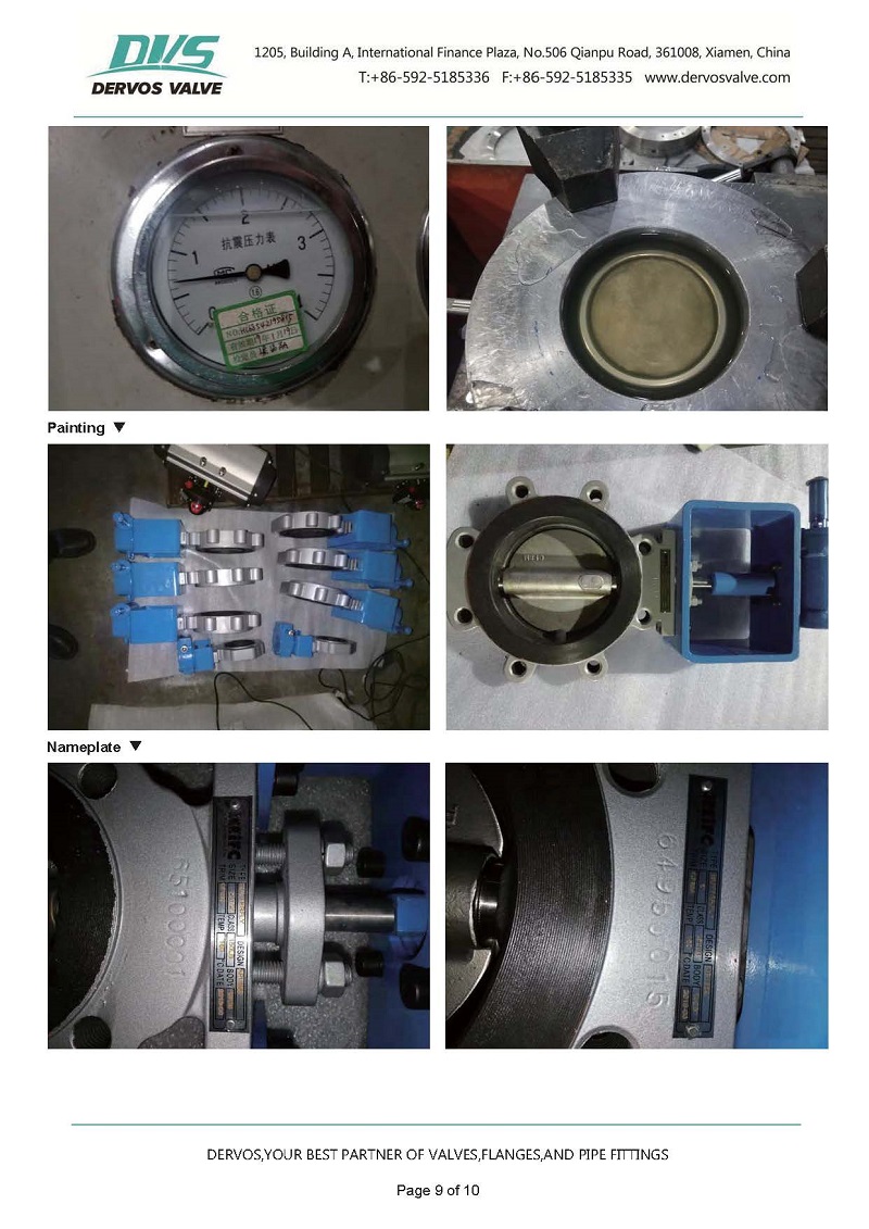 Double Eccentric Butterfly Valve