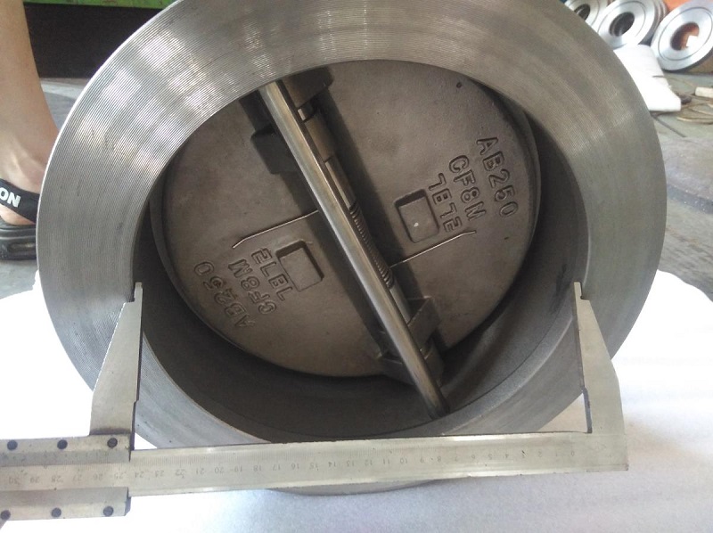 Cast Steel Check Valve