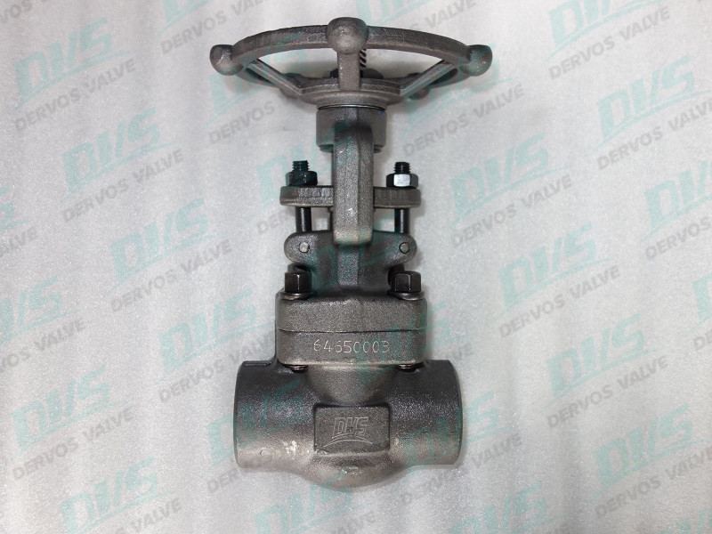 800LB A105 Gate Valve