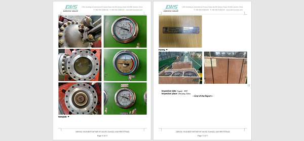 API600 ALLOY STEEL 10'' 300LB GATE VALVE BB RF OS&Y