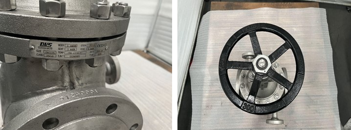 DIN DN125 PN16 Stainless Steel Gate Valve HW-OP BB RF
