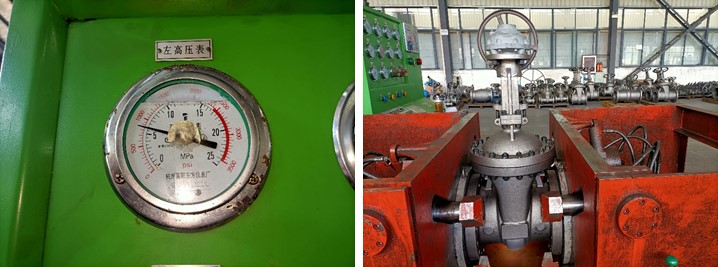 10" 300LB Alloy Steel Gate Valve RF C5 API600 Bevel Gear