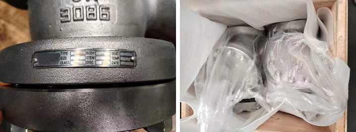RF Connection, 3" 300LB Y Type Strainer, ASME B16.34, Body A995 5A