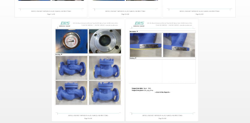 DN65 PN16 Cast Steel Globe Valve 