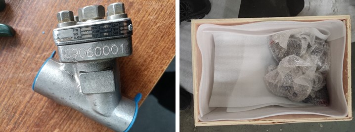 Y Type Strainer