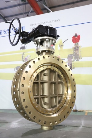 Butterfly valve case sharing