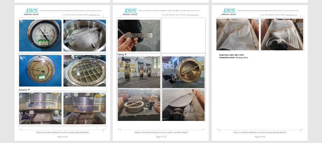 Triple Offset Metal Seated Butterfly Valve