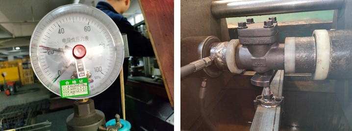 Swing Check Valve