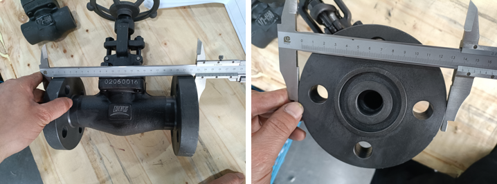 Forged Steel Globe Valve
