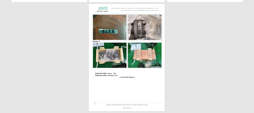 Swing Check Valve
