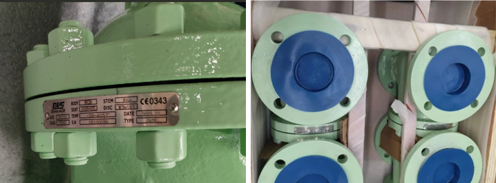 Cast Steel Gate Valve