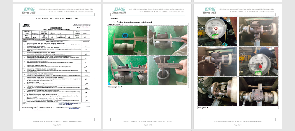 Swing Check Valve