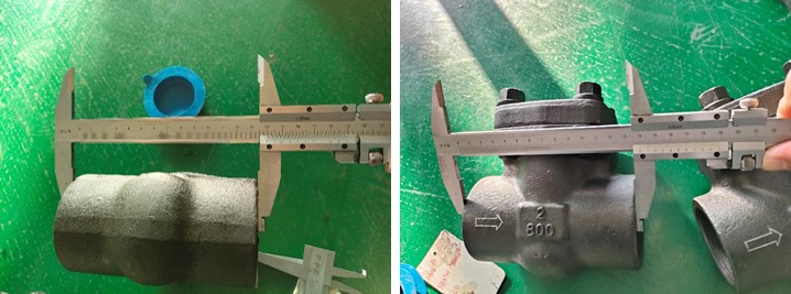 Swing Check Valve