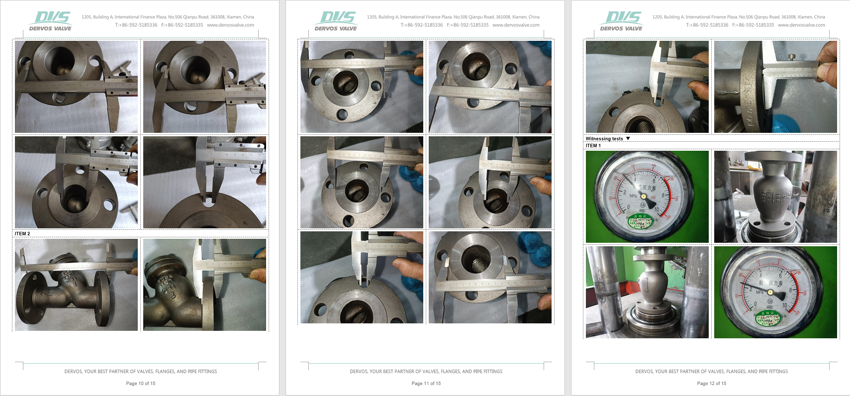 Axial Flow Check Valve