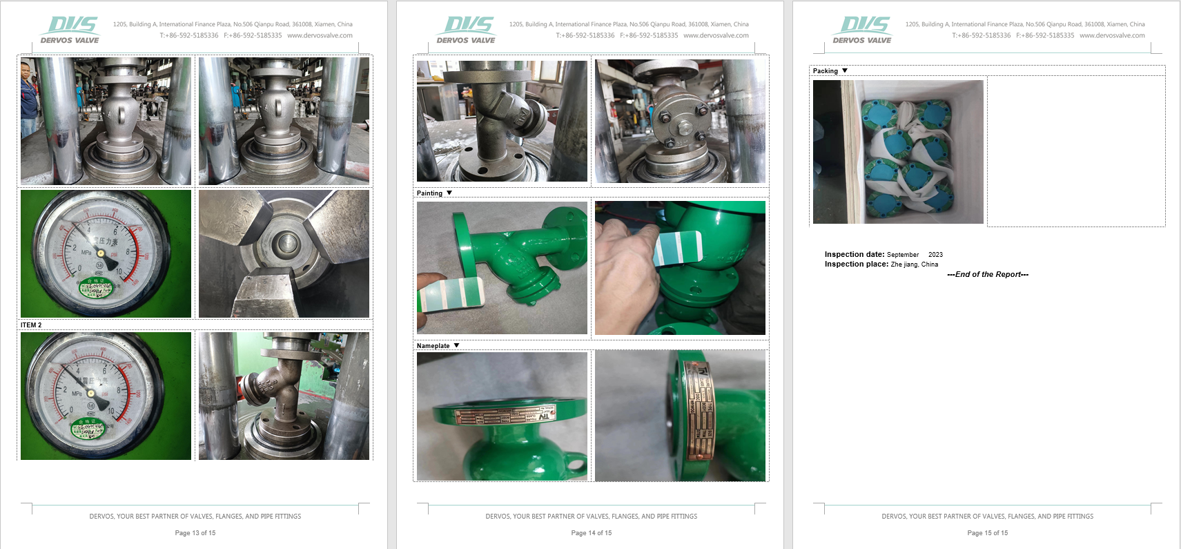 Axial Flow Check Valve