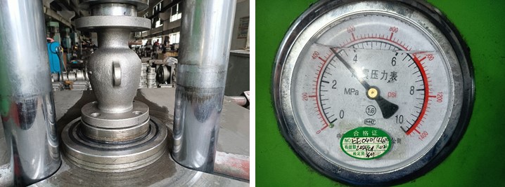 Axial Flow Check Valve