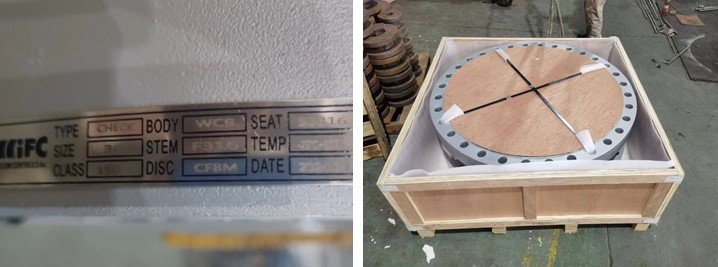Wafer Check Valve