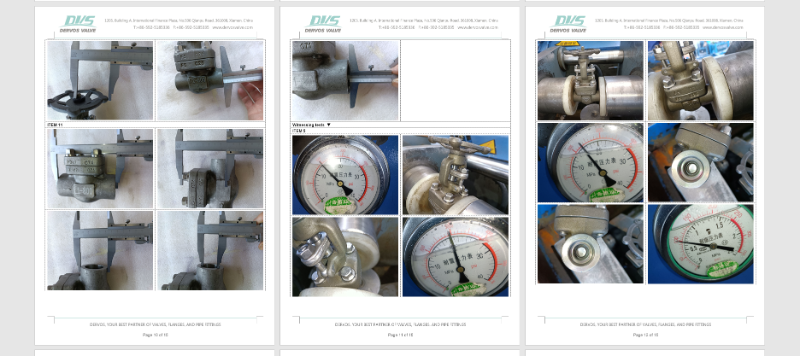 gate valve