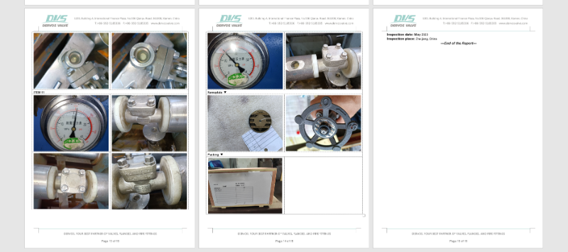 gate valve