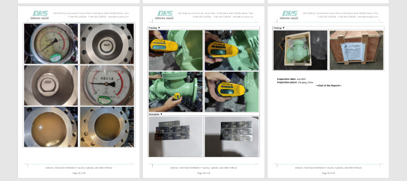 swing check valve