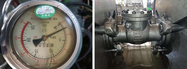 swing check valve