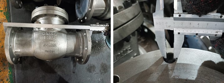 swing check valve