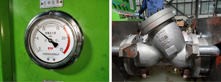 Cast Steel Y Type Strainer