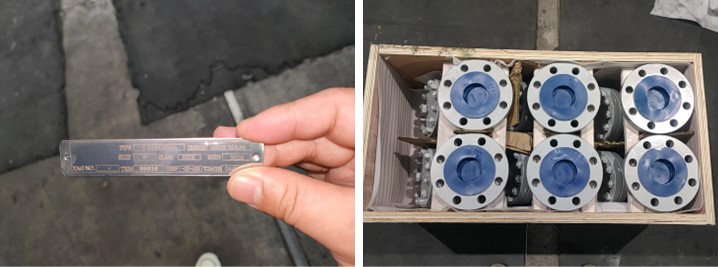 Cast Steel Y Type Strainer