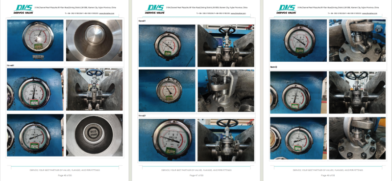 Cast Steel Gate Valve
