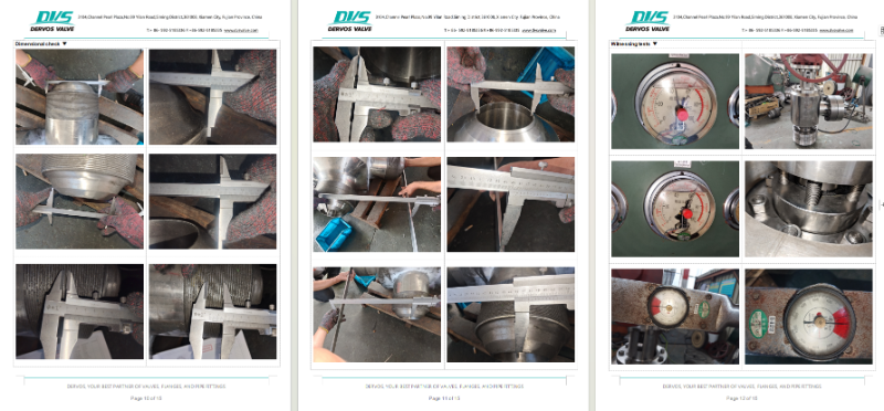 Angle Globe Valve