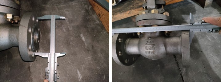 Cast Steel Globe Valve