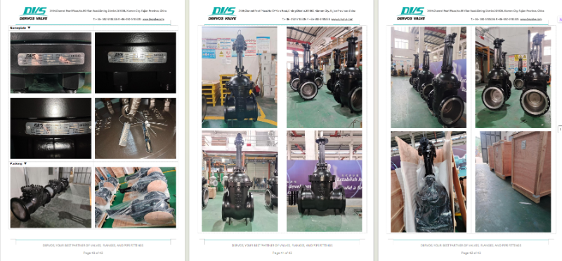 Cast Steel Gate Valve