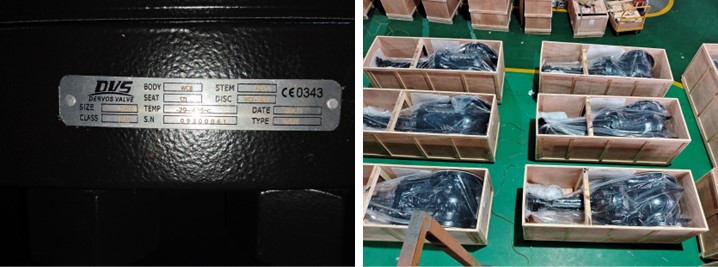 Cast Steel Gate Valve