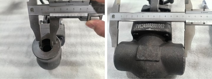 Forged Steel Globe Valve