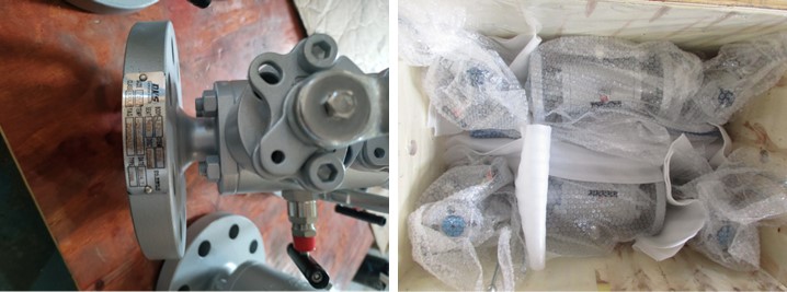 double block and bleed valve