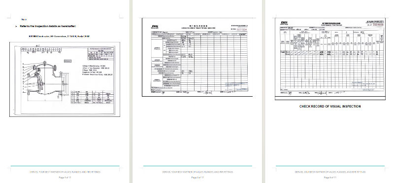 Cast Steel Swing Check Valve
