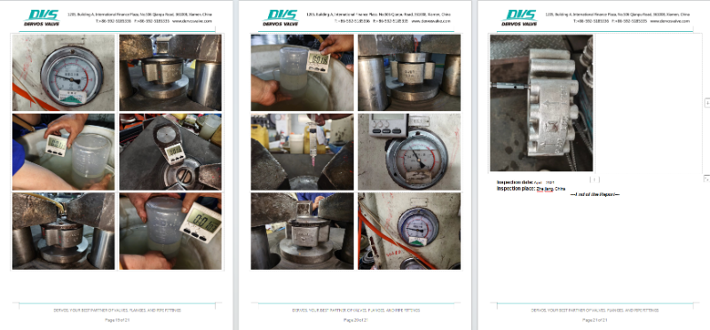 WCB Wafer Type Check Valve