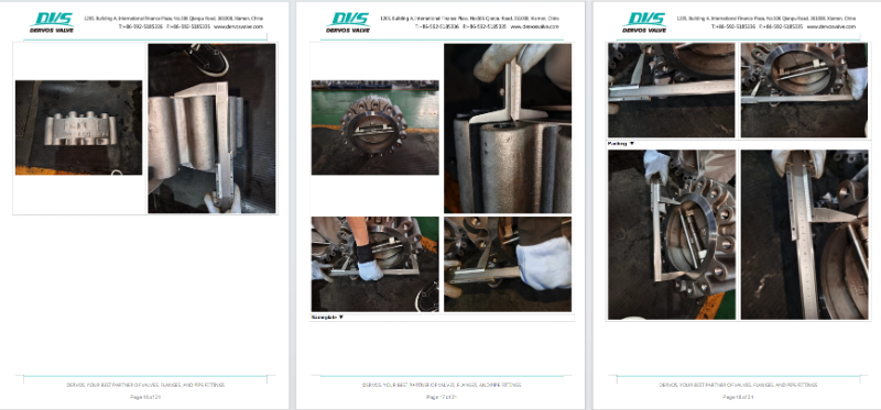 WCB Wafer Type Check Valve