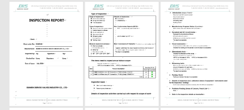 2" 300LB Carbon Steel Y Type Strainer