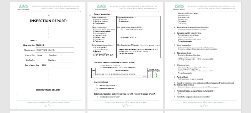 Cast Steel Gate Valve