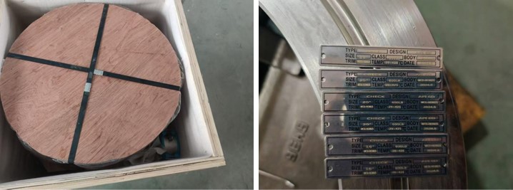 Dual Plate Check Valve