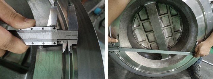 Dual Plate Check Valve