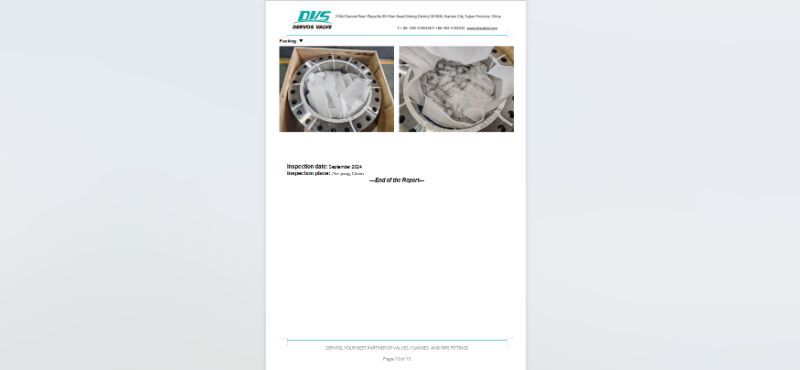 Butterfly Type Non-Slam Check Valve