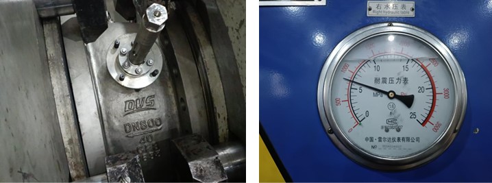 Butterfly Type Non-Slam Check Valve