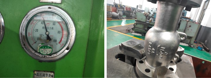 Axial Flow Check Valve