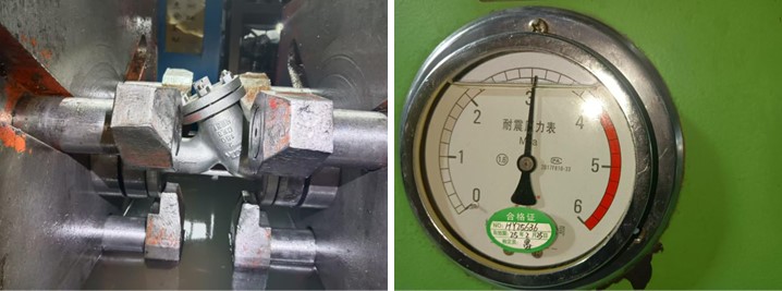 Y-Type Strainer Pressure Testing