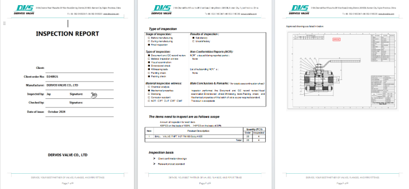 Inspection Report and Documentation
